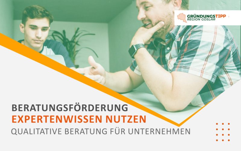 Funding for Business Consulting